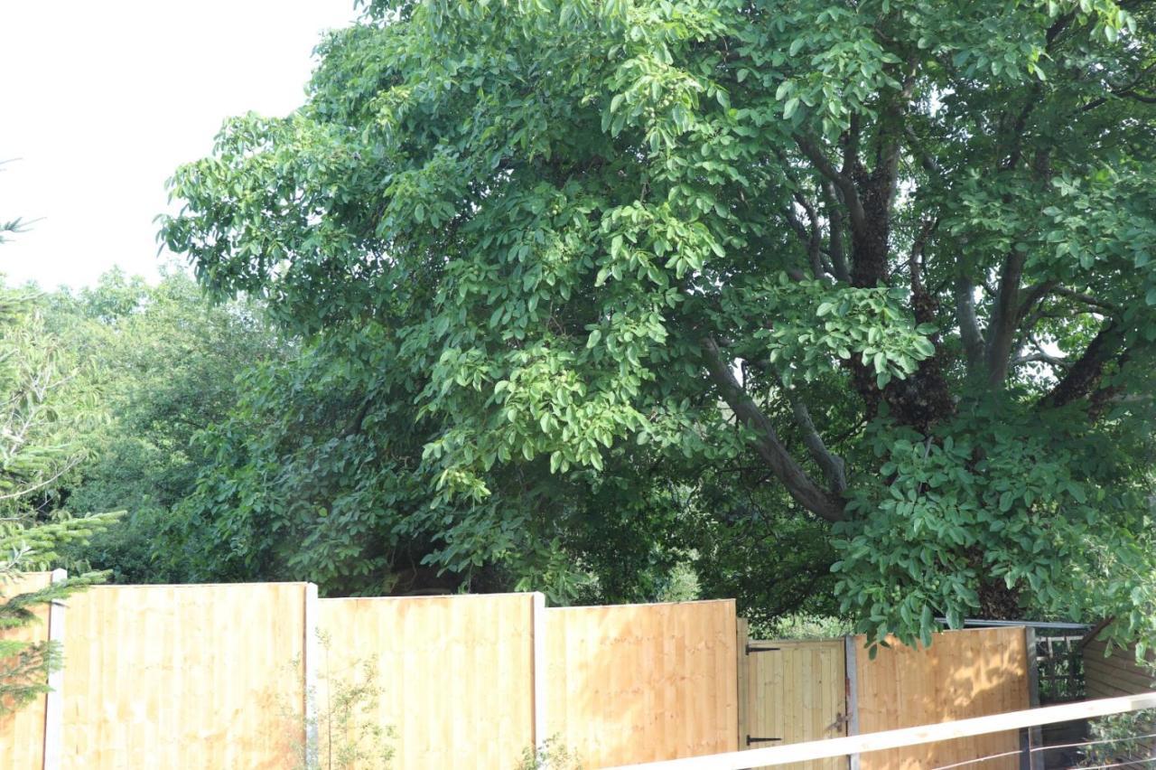 Walnut Tree View Villa Oxford Eksteriør billede